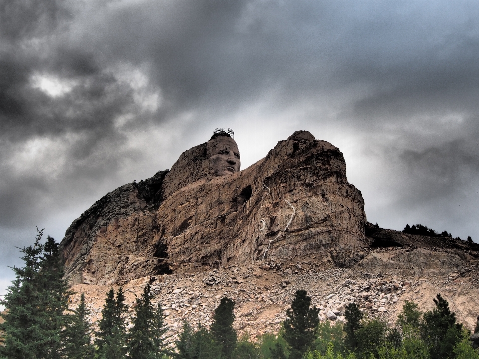 Paysage arbre nature rock