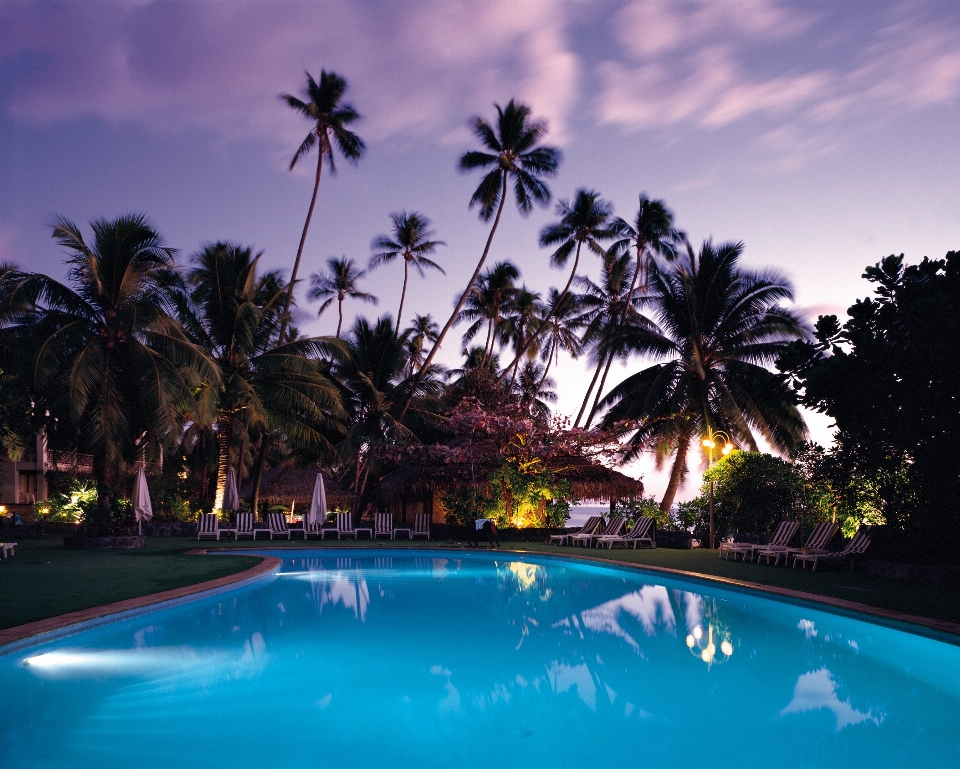 Pôr do sol palmeira férias piscina