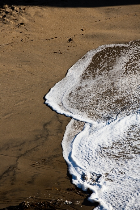 海滩 海 海岸 水