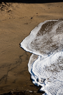 Strand meer küste wasser Foto