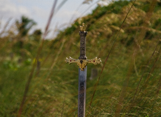 Grass field green weapon Photo