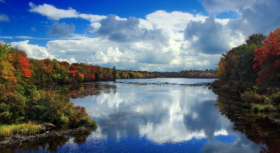 Landschaft baum wasser natur