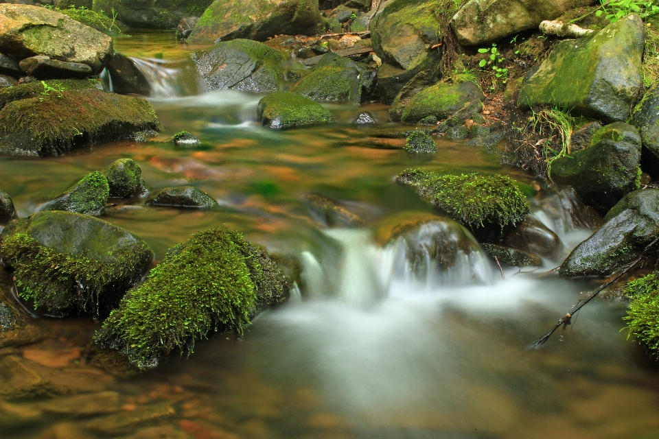 Landscape water nature forest