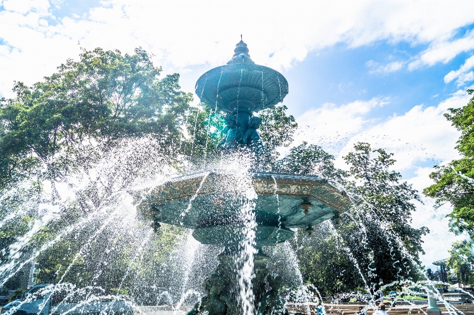 árvore água parque de diversões
