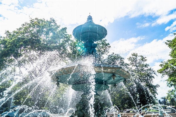 Ağaç su lunapark
 park Fotoğraf