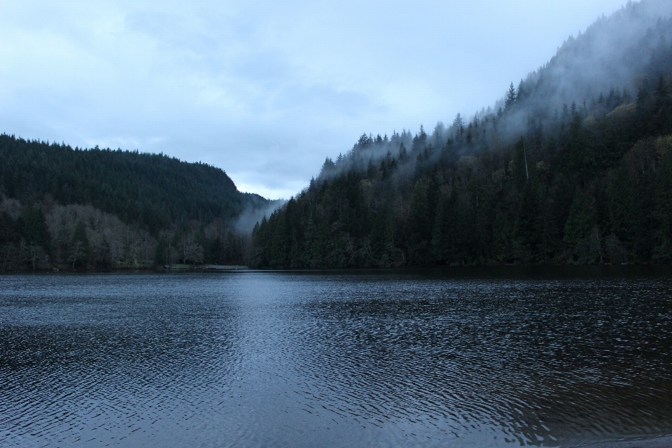 Landschaft baum wasser natur