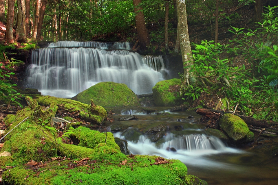 Wasser wald wasserfall bach
