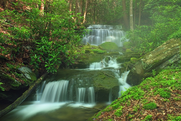 水 自然 森 滝 写真