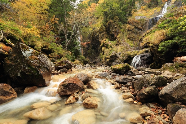 Landscape nature forest rock Photo