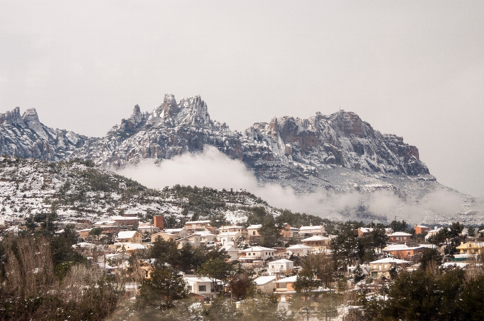 風景 木 山 雪