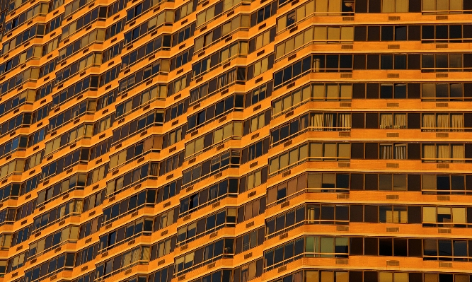 Architecture window building skyscraper Photo