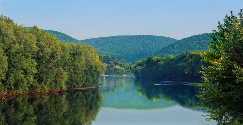 Landscape tree nature forest Photo