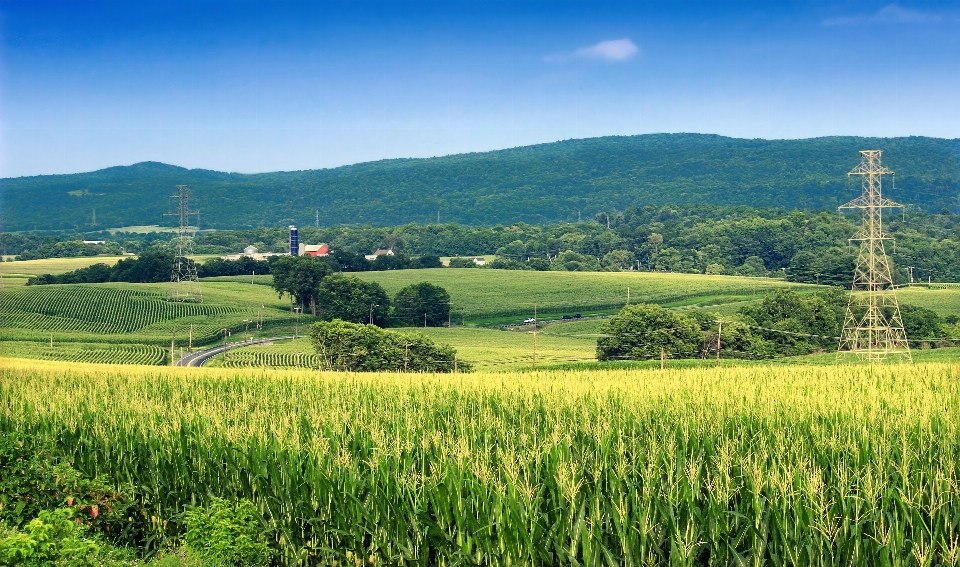 Landschaft natur gras berg