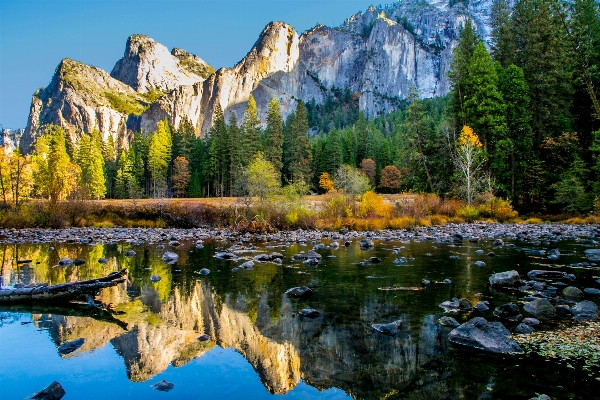 Landscape tree nature wilderness Photo