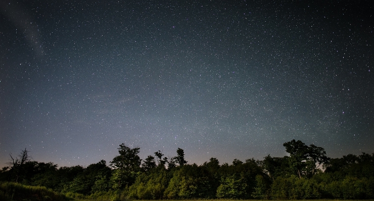 木 空 夜 星 写真