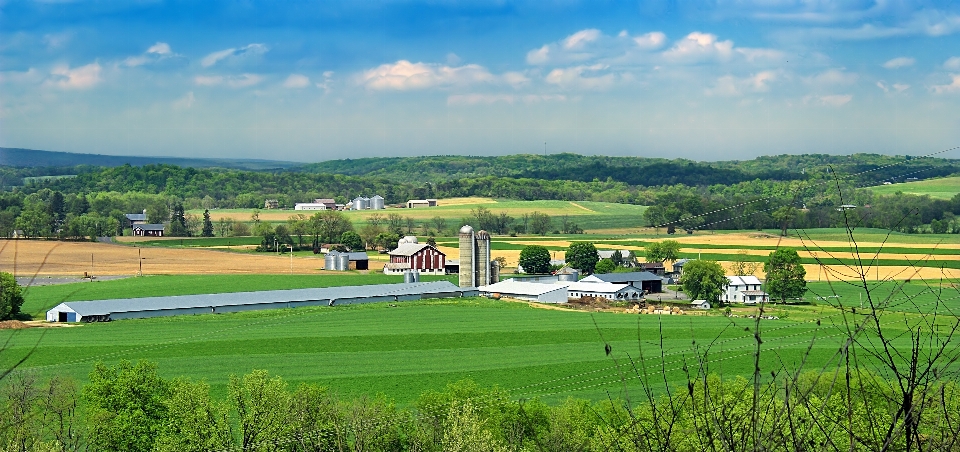 Landschaft gras struktur himmel