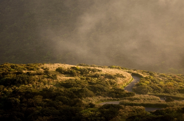 Landscape sea coast nature Photo