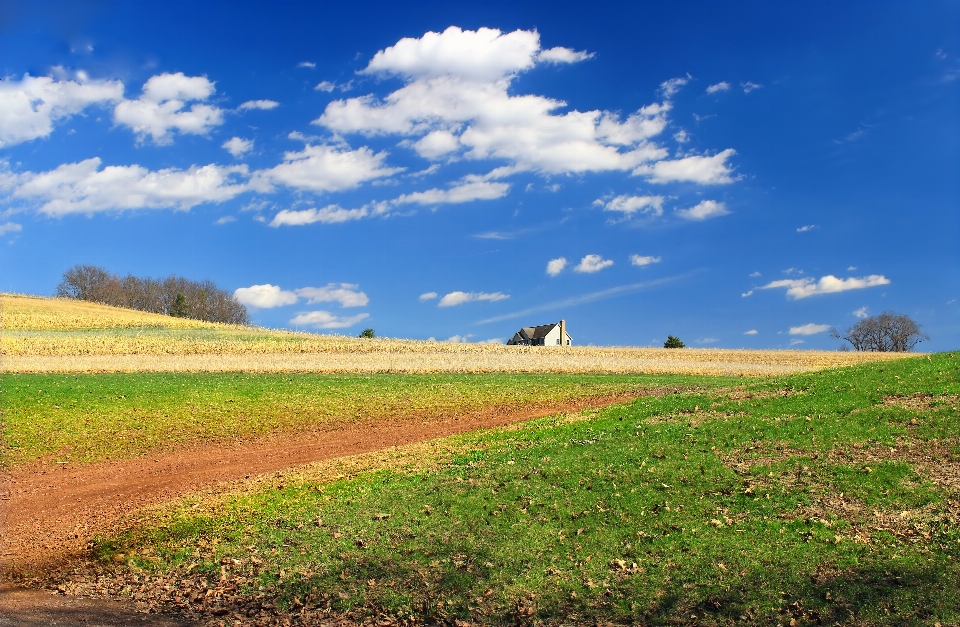 Paisaje césped horizonte nube