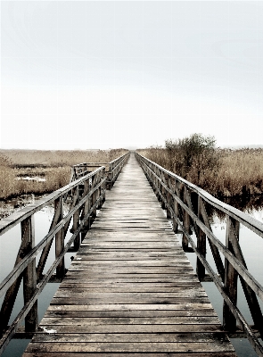 Boardwalk track bridge pier Photo