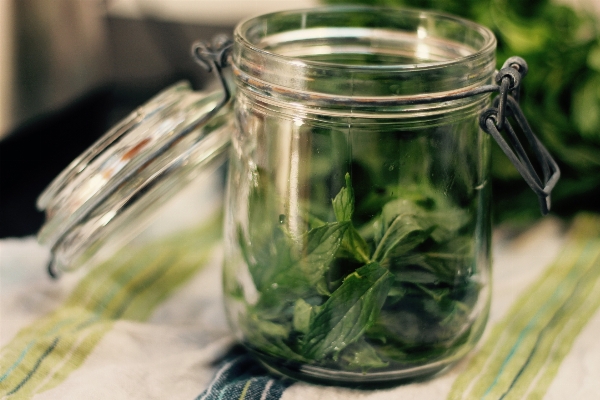 お茶 食べ物 ハーブ 生産 写真