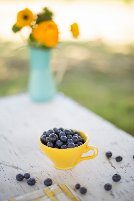 Usine fruit baie fleur