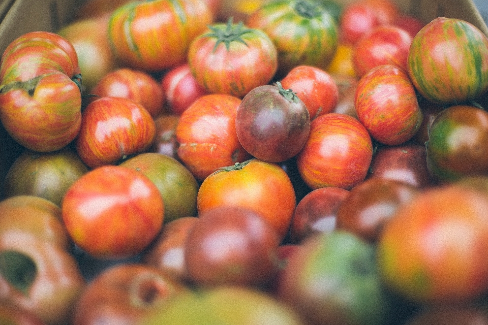 Plantar fruta flor comida