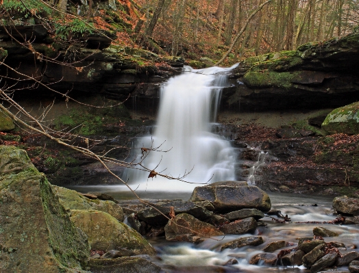 Landscape water nature forest Photo