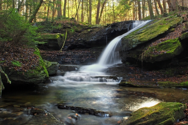 Landscape tree water nature Photo