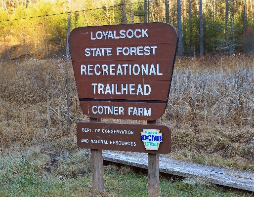 Winter hiking trail sign Photo