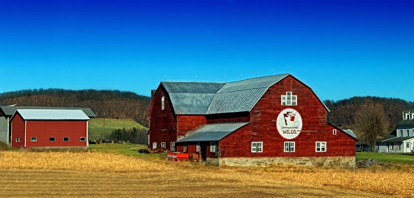 Winter sky field farm Photo