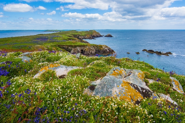 Landscape sea coast nature Photo