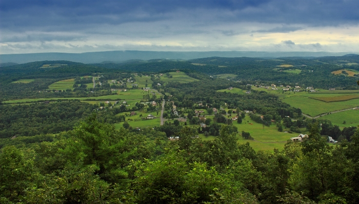 Landscape tree forest mountain Photo