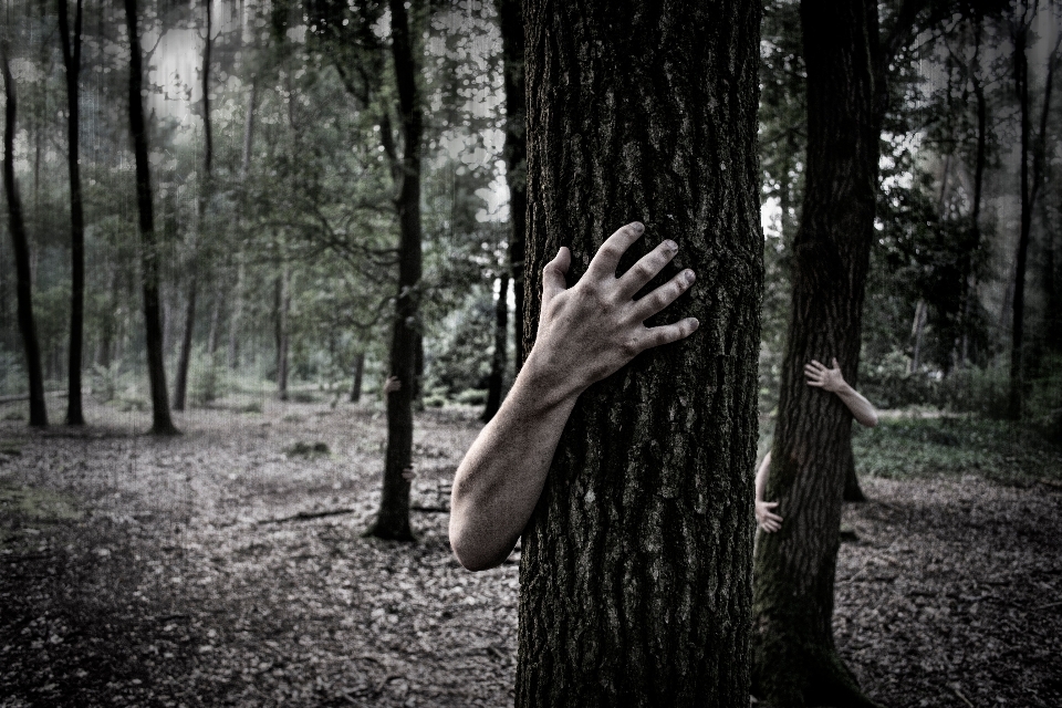 Hand tree nature forest