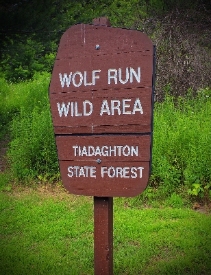 Hiking trail summer sign Photo