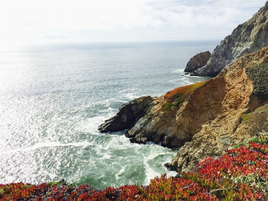 Beach sea coast rock Photo