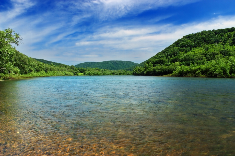 пейзаж дерево вода природа