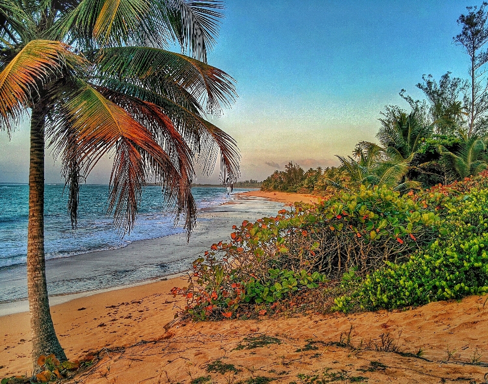 Beach landscape sea coast