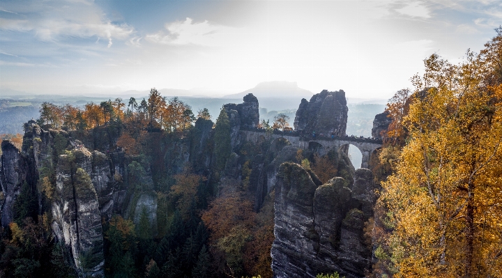 Foto Paisagem árvore natureza rock