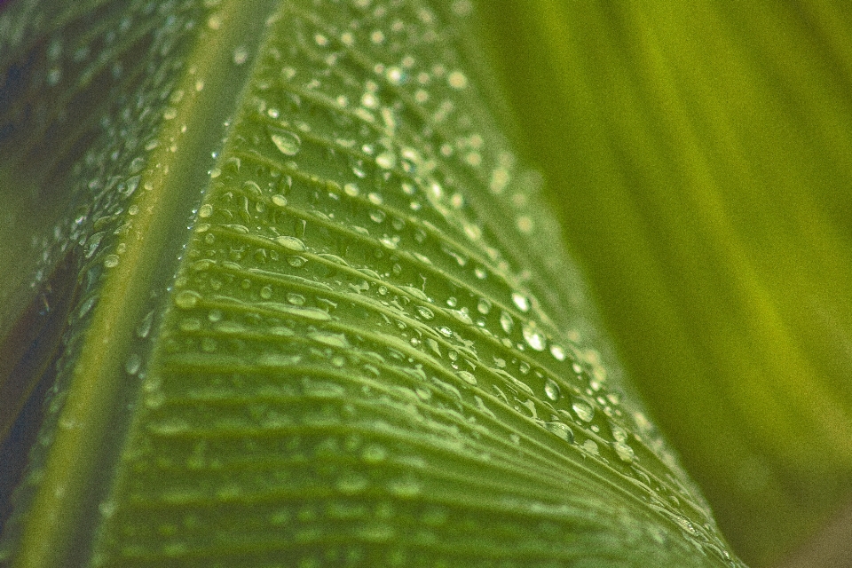 木 水 自然 草