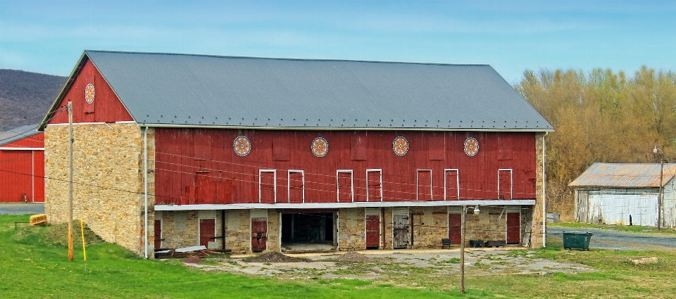 Herbe cultiver loger bâtiment