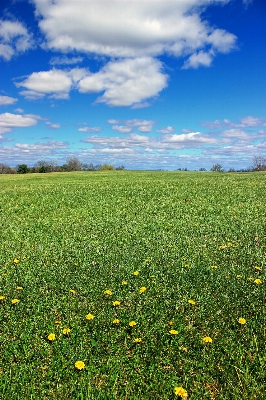 Landscape nature grass horizon Photo