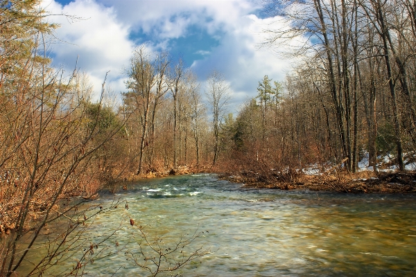 Landscape tree water nature Photo