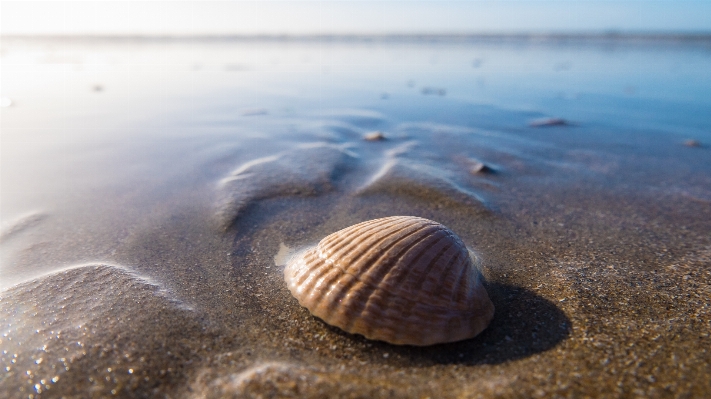 Beach sea water sand Photo