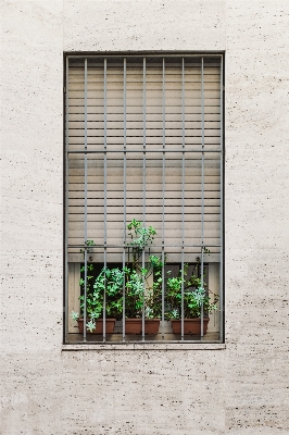 Architecture plant wood house Photo