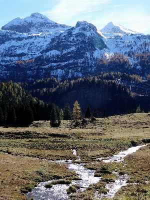 Zdjęcie Krajobraz drzewo natura zatoczka
