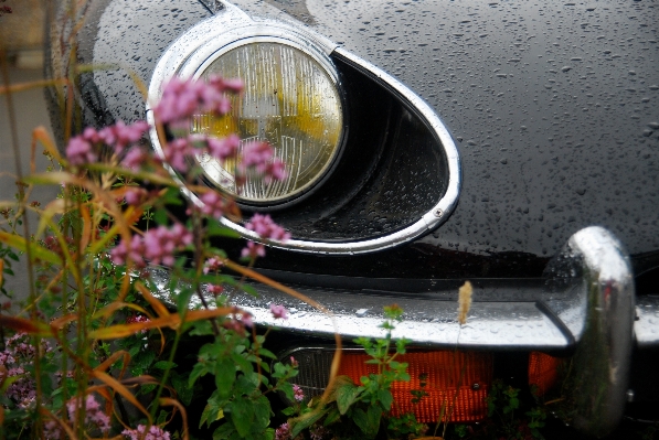 Foto Acqua leggero auto piovere