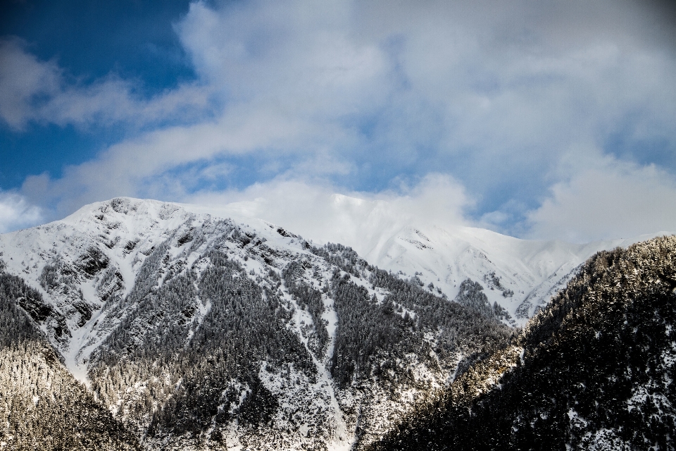 Paysage arbre nature montagne