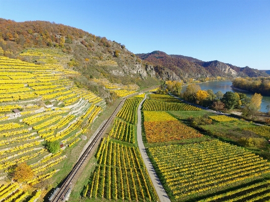 Landscape mountain field farm Photo