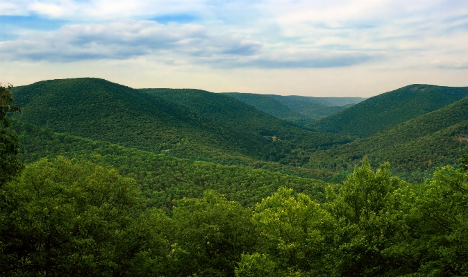 Foto Paisagem árvore natureza floresta