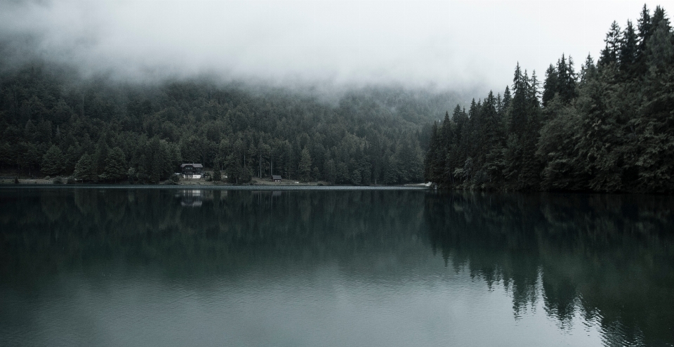 風景 木 水 自然